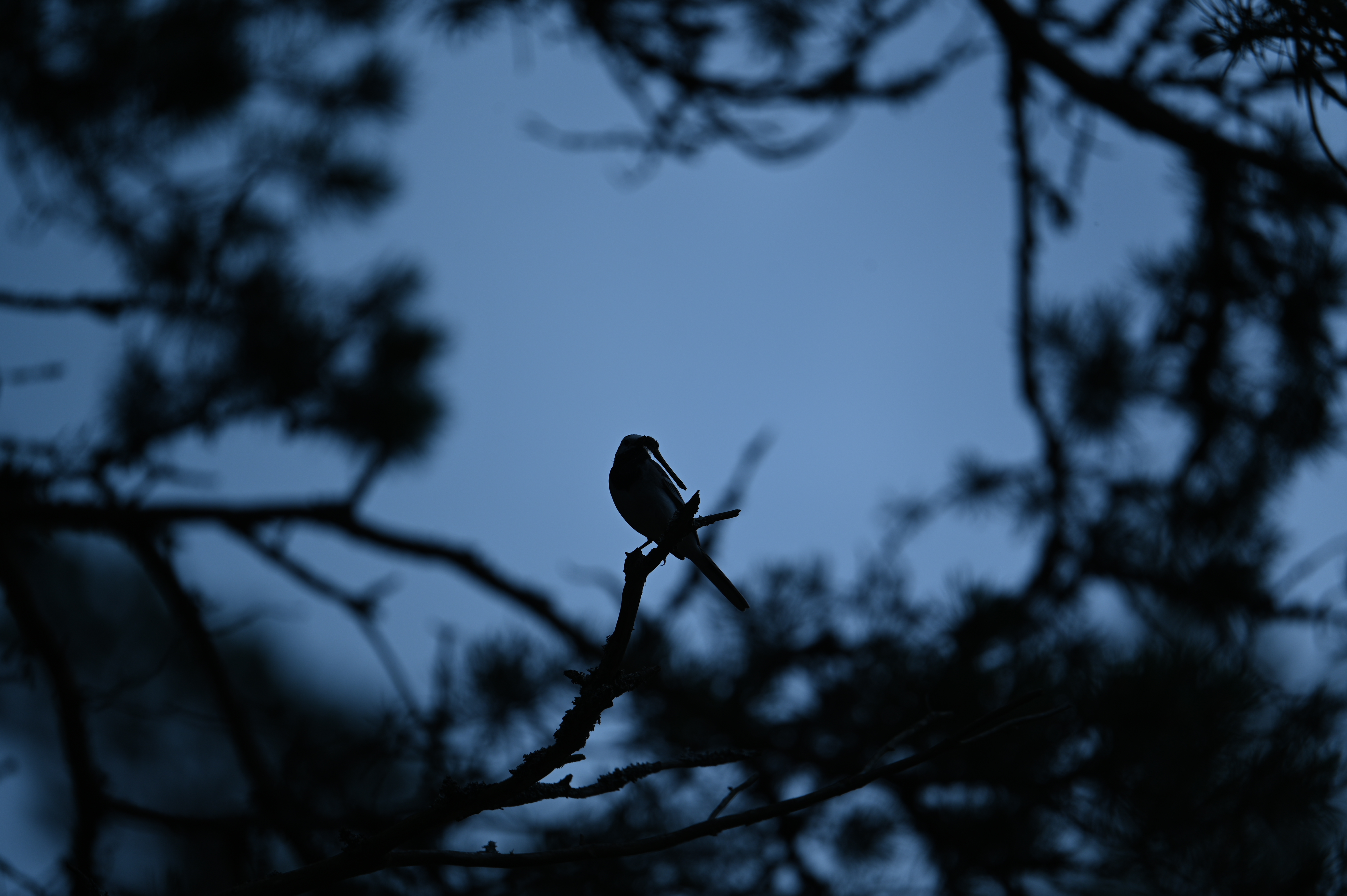 2025/07/09-14 - trip/DSC_0385.JPG